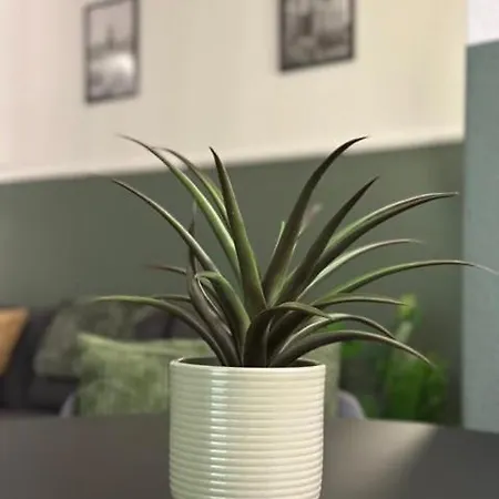 Hide Away Zurich-6floor,urban Studio, View Lejlighed *