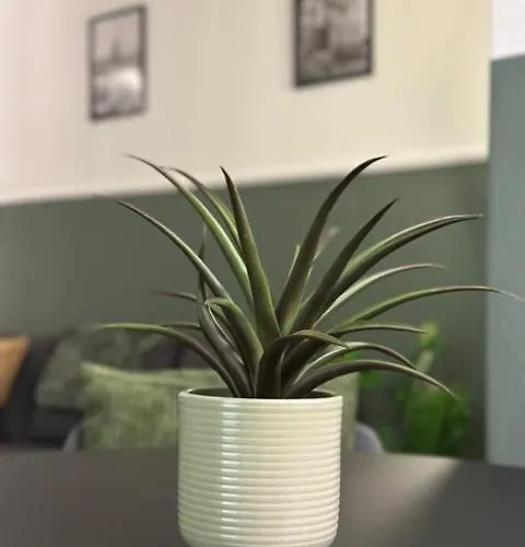 Hide Away Zurich-6floor,urban Studio, View Apartamento *